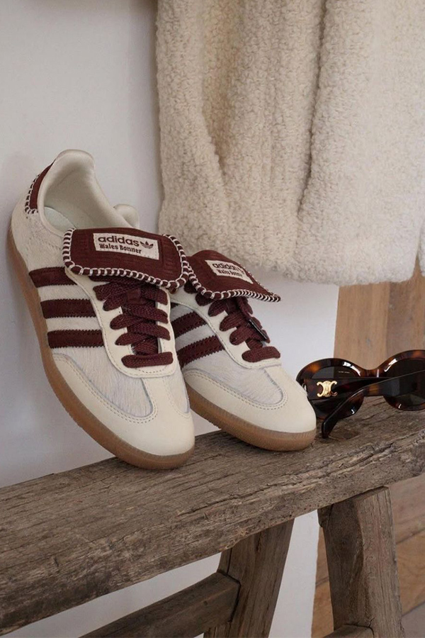 ولز بانر زرشکی